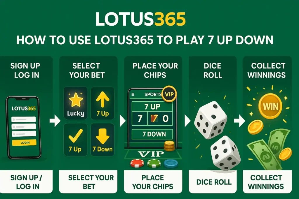How to Use Lotus365 to Play 7 Up Down